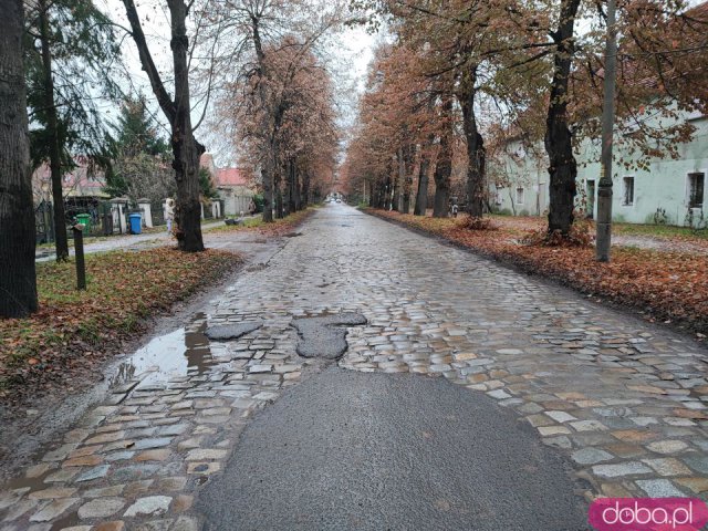 Najgorsza ulica Wrocławia pójdzie do remontu. Kostka brukowana musi jednak pozostać na jezdni [Foto]