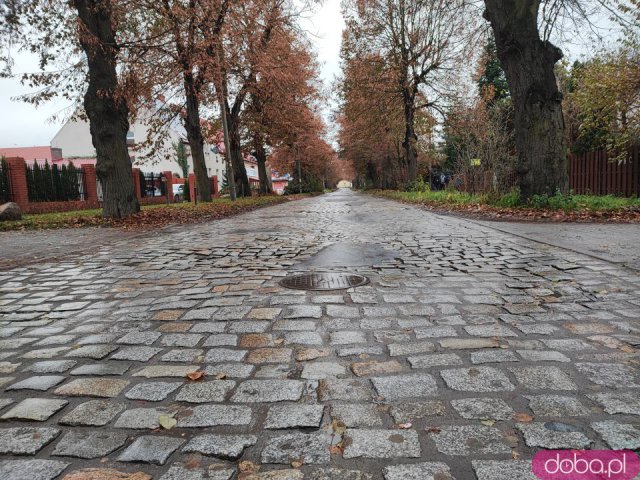 Najgorsza ulica Wrocławia pójdzie do remontu. Kostka brukowana musi jednak pozostać na jezdni [Foto]