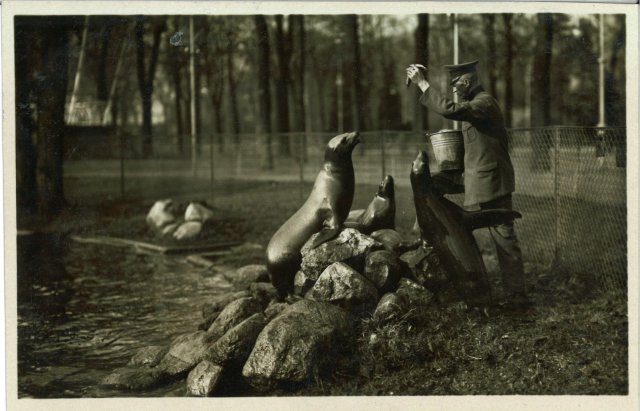 Niezwykle cenne znalezisko we wrocławskim zoo. Zobacz, co odkryto [Foto]