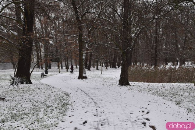 Wrocław w zimowej scenerii [Foto]