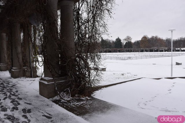 Wrocław w zimowej scenerii [Foto]