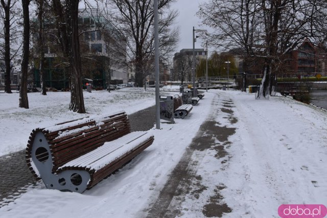 Wrocław w zimowej scenerii [Foto]