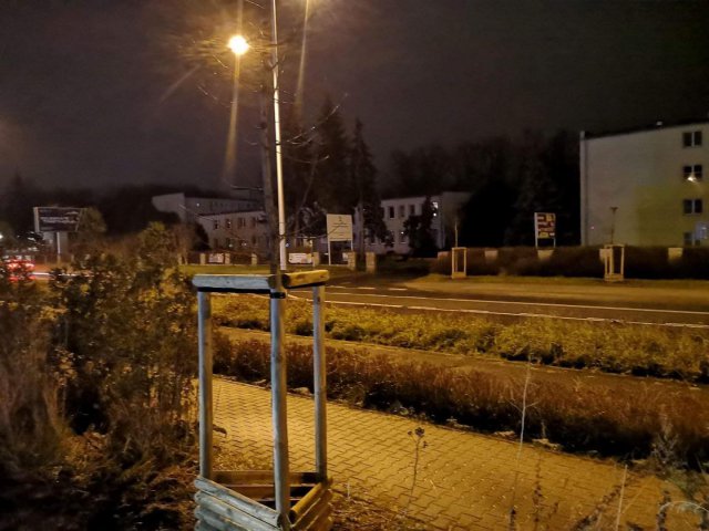 Na Krzykach i Złotnikach wyrośnie dużo nowych drzew i krzewów [Foto, Szczegóły]