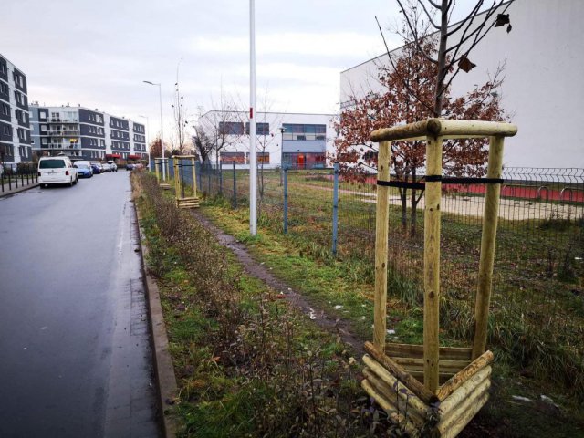 Na Krzykach i Złotnikach wyrośnie dużo nowych drzew i krzewów [Foto, Szczegóły]
