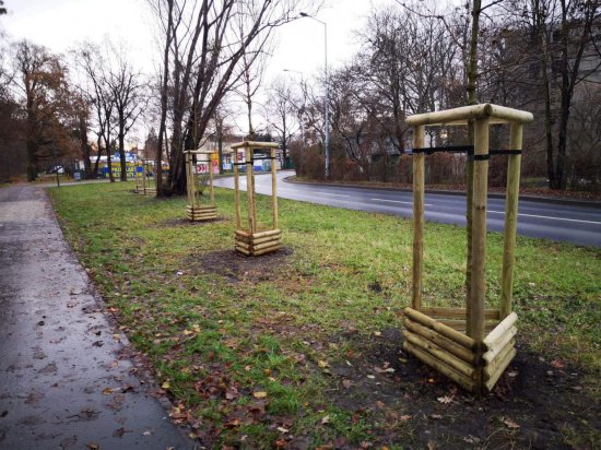 Na Krzykach i Złotnikach wyrośnie dużo nowych drzew i krzewów [Foto, Szczegóły]