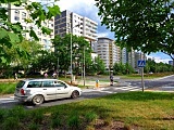 ZDiUM podsumowuje działania na rzecz poprawy bezpieczeństwa pieszych w 2022 roku