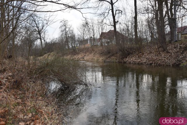 Widawa mocno wezbrała po roztopach. Poziom wody przekroczył stan ostrzegawczy [Foto]