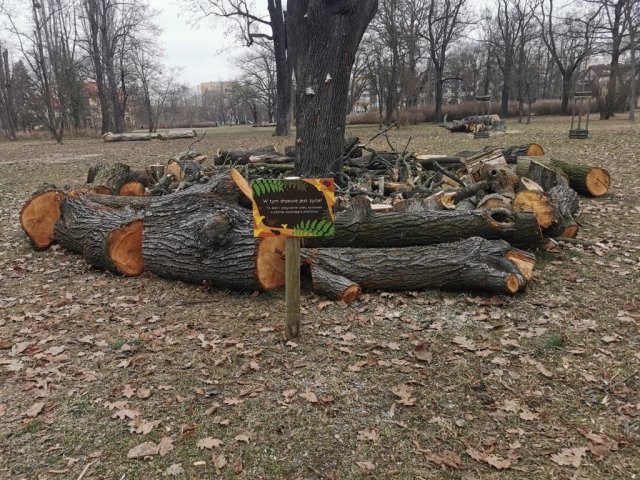 Trwają prace we wrocławskich parkach. W Parku Marii Dąbrowskiej powstał kompostownik, a w Parku Klecińskim nowa ścieżka [Foto]