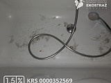 To historia jak z horroru, ale wydarzyła się naprawdę! Zwyrodnialec kilkukrotnie uderzał kotem o barierki balkonu, żeby zemścić się na partnerce [Foto]