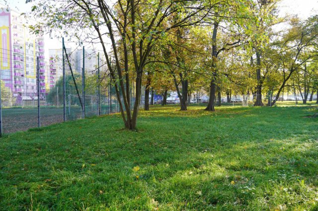 Tereny przy SP nr 33 zostaną zagospodarowane. Co zostanie wykonane? [SZCZEGÓŁY]