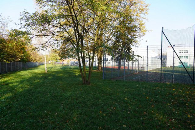 Tereny przy SP nr 33 zostaną zagospodarowane. Co zostanie wykonane? [SZCZEGÓŁY]