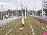 Tramwaj na Popowice: Jaki będzie układ komunikacji miejskiej w tamtej części Wrocławia? [Szczegóły, Foto]