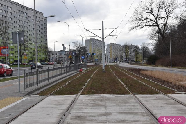 Tramwaj na Popowice: Jaki będzie układ komunikacji miejskiej w tamtej części Wrocławia? [Szczegóły, Foto]