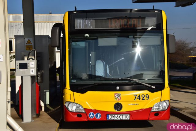 MPK Wrocław pozywa PKN Orlen: Żądamy 1 mln zł od Obajtka [Foto, Wypowiedzi władz]