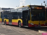 MPK Wrocław pozywa PKN Orlen: Żądamy 1 mln zł od Obajtka [Foto, Wypowiedzi władz]