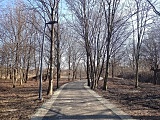 Trwają ostatnie prace na tarnogajskim odcinku Promenady Krzyckiej. Niedługo mieszkańcy będą mogli w pełni z niego korzystać [Foto]