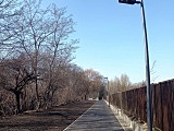 Trwają ostatnie prace na tarnogajskim odcinku Promenady Krzyckiej. Niedługo mieszkańcy będą mogli w pełni z niego korzystać [Foto]