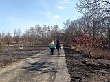 Trwają ostatnie prace na tarnogajskim odcinku Promenady Krzyckiej. Niedługo mieszkańcy będą mogli w pełni z niego korzystać [Foto]