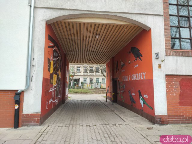 Podwórko na Ołbinie po renowacji. Nowa nawierzchnia, lampy i roślinność [Foto]