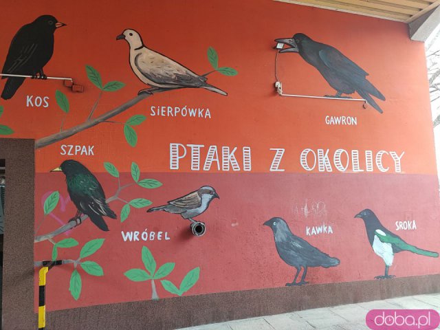 Podwórko na Ołbinie po renowacji. Nowa nawierzchnia, lampy i roślinność [Foto]