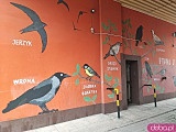 Podwórko na Ołbinie po renowacji. Nowa nawierzchnia, lampy i roślinność [Foto]