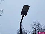 Podwórko na Ołbinie po renowacji. Nowa nawierzchnia, lampy i roślinność [Foto]