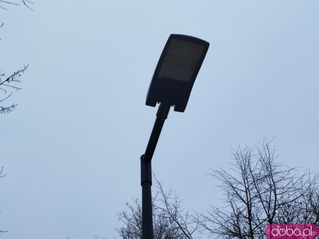 Podwórko na Ołbinie po renowacji. Nowa nawierzchnia, lampy i roślinność [Foto]
