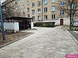 Podwórko na Ołbinie po renowacji. Nowa nawierzchnia, lampy i roślinność [Foto]