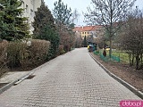 Podwórko na Ołbinie po renowacji. Nowa nawierzchnia, lampy i roślinność [Foto]