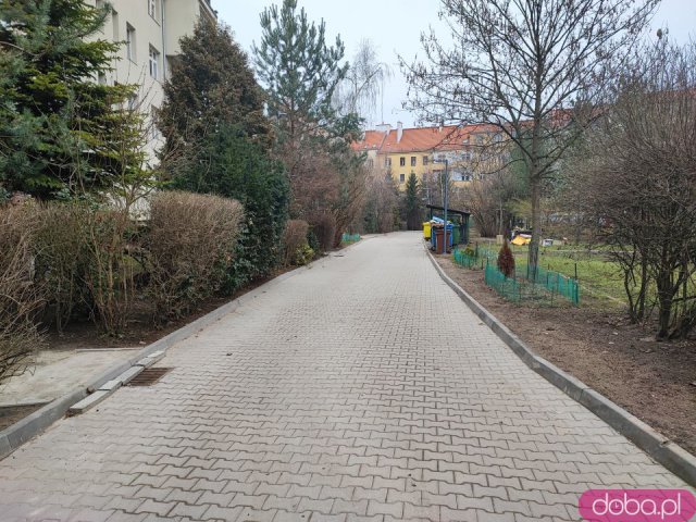Podwórko na Ołbinie po renowacji. Nowa nawierzchnia, lampy i roślinność [Foto]