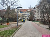Podwórko na Ołbinie po renowacji. Nowa nawierzchnia, lampy i roślinność [Foto]
