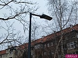 Podwórko na Ołbinie po renowacji. Nowa nawierzchnia, lampy i roślinność [Foto]