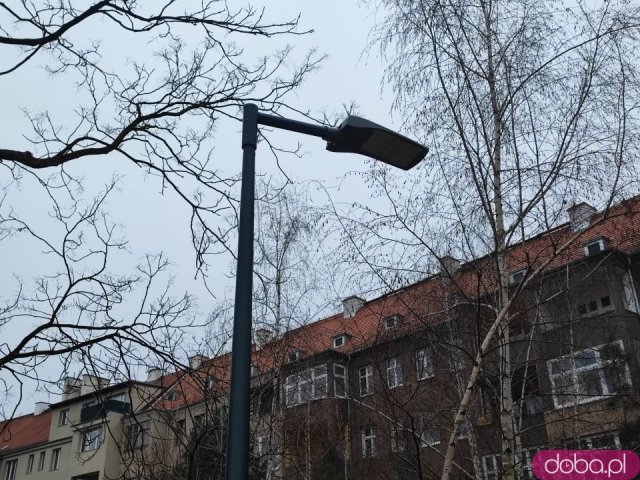 Podwórko na Ołbinie po renowacji. Nowa nawierzchnia, lampy i roślinność [Foto]