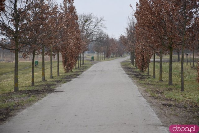 Wyjątkowy plac zabaw już otwarty! Zobacz, jak wygląda Średniowieczny Gród [Foto, Jak dojechać]