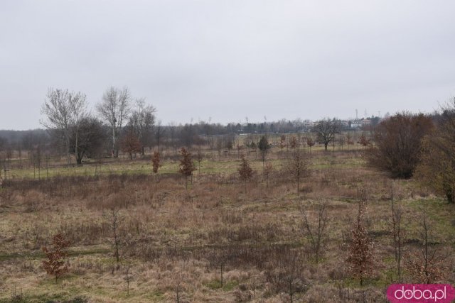 Wyjątkowy plac zabaw już otwarty! Zobacz, jak wygląda Średniowieczny Gród [Foto, Jak dojechać]