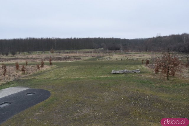 Wyjątkowy plac zabaw już otwarty! Zobacz, jak wygląda Średniowieczny Gród [Foto, Jak dojechać]