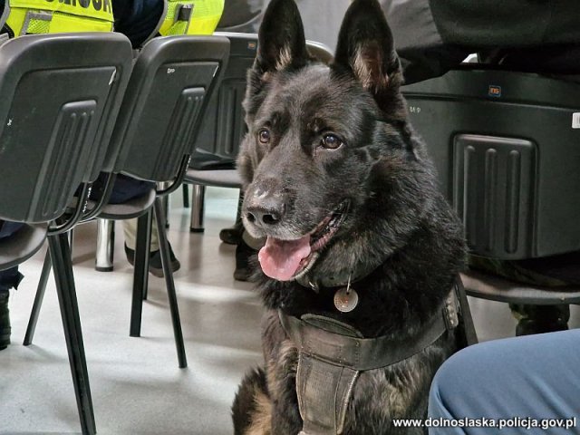 Policjanci skontrolowali kierowców aplikacji typu Uber. Wyniki mogą niepokoić [Foto, Wideo]