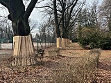 Ruszyły prace modernizacyjne na kortach tenisowych przy ul. Pułtuskiej [Foto]