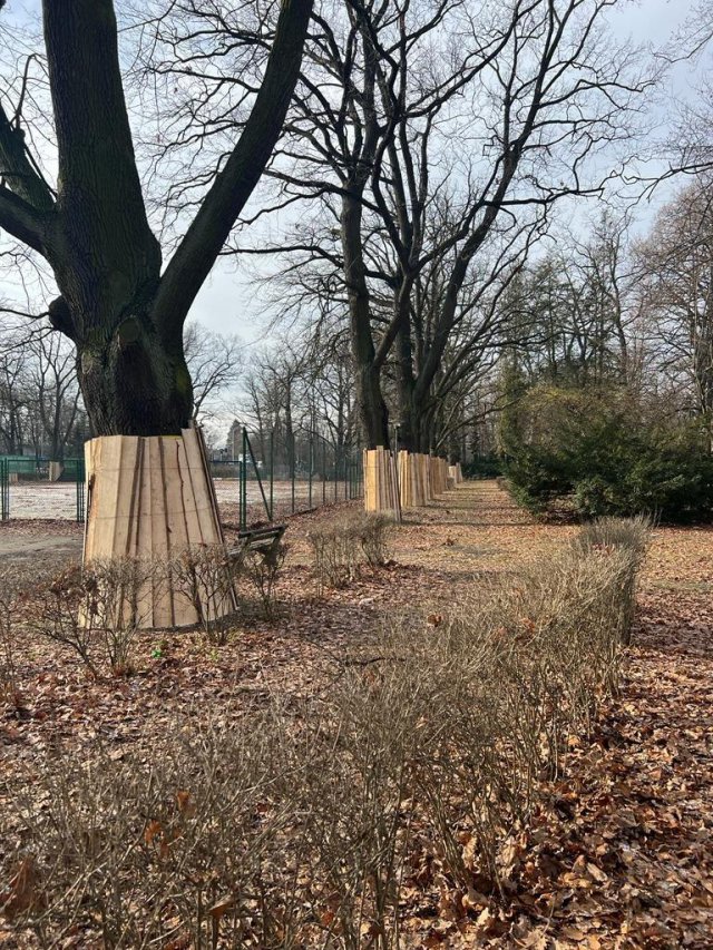 Ruszyły prace modernizacyjne na kortach tenisowych przy ul. Pułtuskiej [Foto]