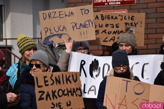 Protestowali w obronie wrocławskich lasów [Foto]