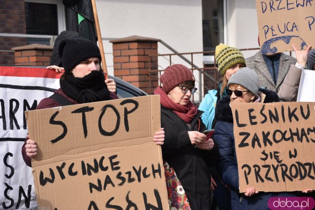 Protestowali w obronie wrocławskich lasów [Foto]