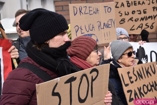 Protestowali w obronie wrocławskich lasów [Foto]