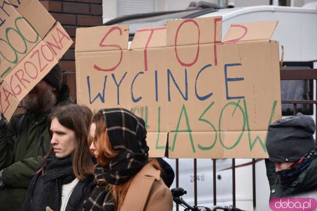 Protestowali w obronie wrocławskich lasów [Foto]