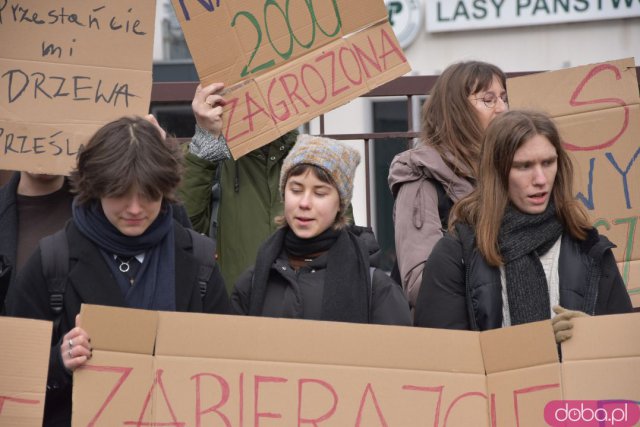 Protestowali w obronie wrocławskich lasów [Foto]