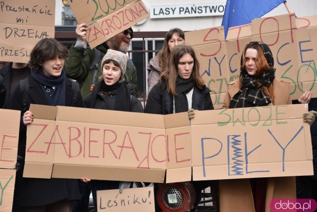 Protestowali w obronie wrocławskich lasów [Foto]