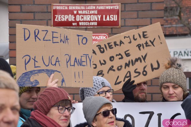 Protestowali w obronie wrocławskich lasów [Foto]