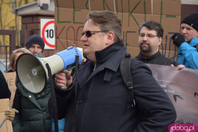 Protestowali w obronie wrocławskich lasów [Foto]