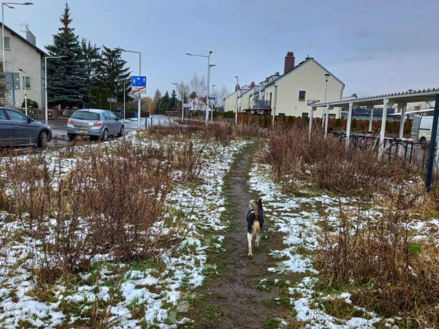 Powstanie chodnik przy ul. Grapowa. Zapewni komfortowe dojście do ważnych punktów w okolicy [Foto]