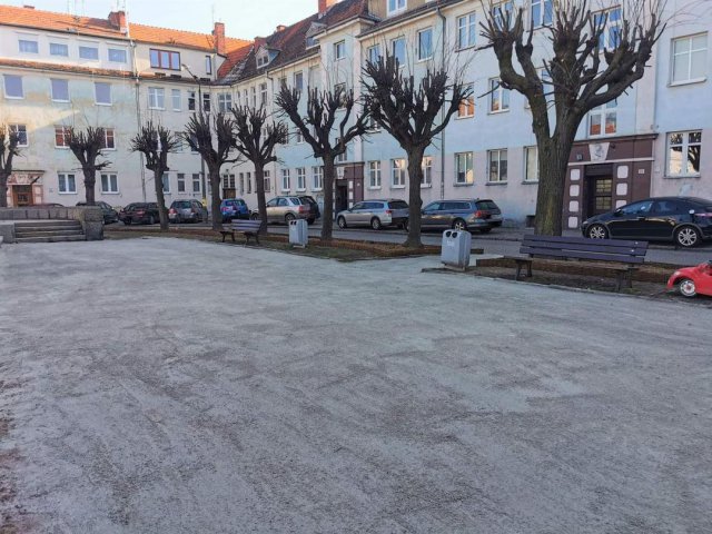 Pielęgnacja drzew i zapewnienie im dobrych warunków siedliskowych to istotny element dbania o przyrodę. Tak zrobiono na placu Piłsudskiego [Foto]