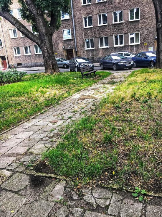 Modernistyczne osiedle na Karłowicach zyska nowe chodniki [Foto]